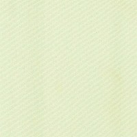 Vanilla Cream 3.2